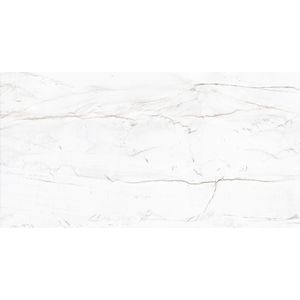 Porcelanato-61x120-Mont-Blanc-PR12177A-Damme---Cx220m²