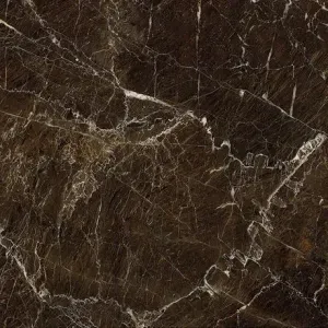 Porcelanato-Damme-Elegant-Brown-Polido-82x82